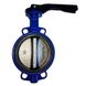 Butterfly valve Zetkama 497 with cast iron disk DN 50 photo 1