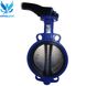 Butterfly valve Zetkama 497 with cast iron disk DN 50 photo 3