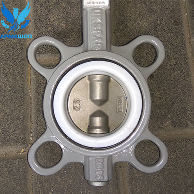 Butterfly Valve with stainless steel disk (PTFE) DN 50