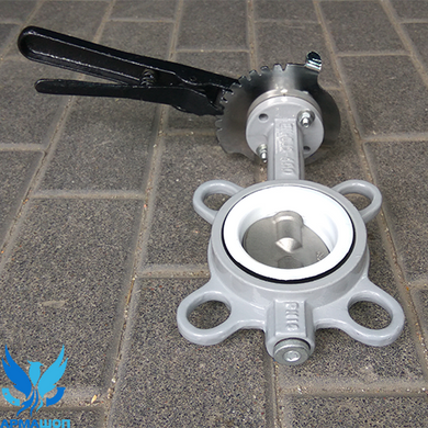 Butterfly Valve with stainless steel disk (PTFE) DN 50