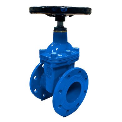 Gate valve with rubber wedge CMO 11A DN 100 PN 16