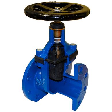 Gate valve with rubber wedge CMO 11A DN 100 PN 16