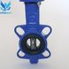 Zetkama 497 Butterfly Valve with stainless steel disk DN 40 photo 3