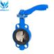 Butterfly valve Genebre 2103 with cast iron disk DN 350 with reducer photo 1
