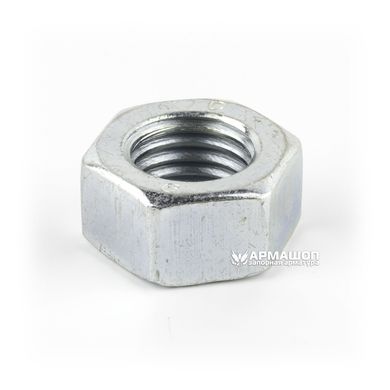 Steel nut M20