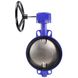 Butterfly valve Genebre 2109 with stainless steel disk DN 350 with reducer photo 2