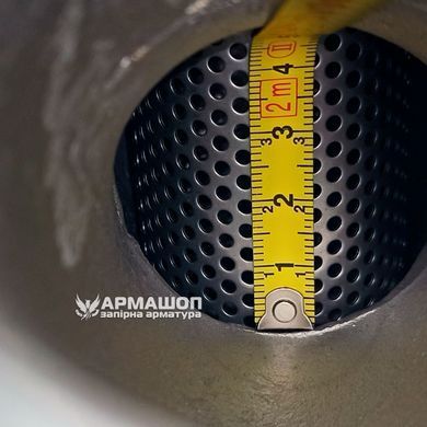 Stainless steel flange filter AISI 304 Armaval DN 40
