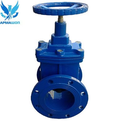 Valve with rubber wedge 30ch39r Dn 150