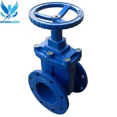 Valve with rubber wedge 30ch39r Dn 300