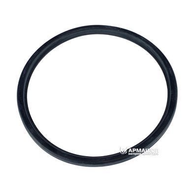 Ущільнення EPDM для молочної муфти DIN DN 100