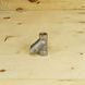 Stainless Steel threaded filter AISI 304 DN 8 (1/4") photo 10