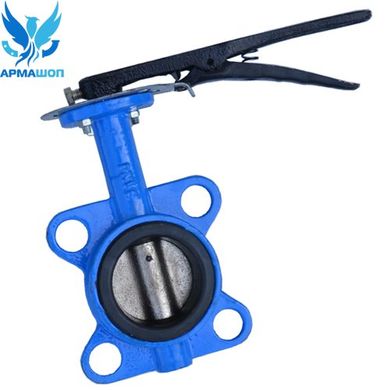 Butterfly Valve with cast iron disc DN 65