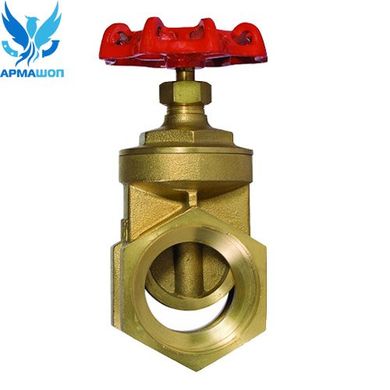 Wedge gate valve brass coupling DN 32