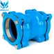 Coupling for PVC and PE pipes Blucast DN 65 photo 1