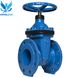 Gate valve with rubber wedge Blucast DN 80 photo 1